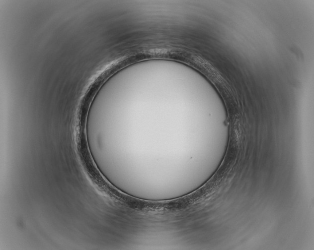 X0000112460728200908311329