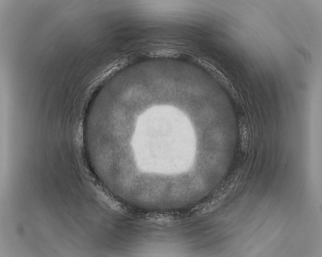 X0000112460729200908311329