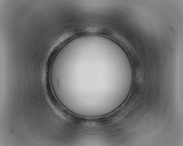 X0000112460730200908311329