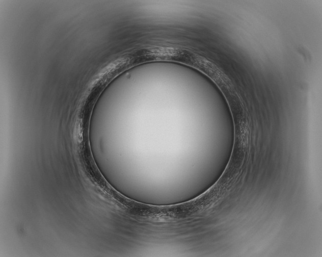 X0000112460731200908311329