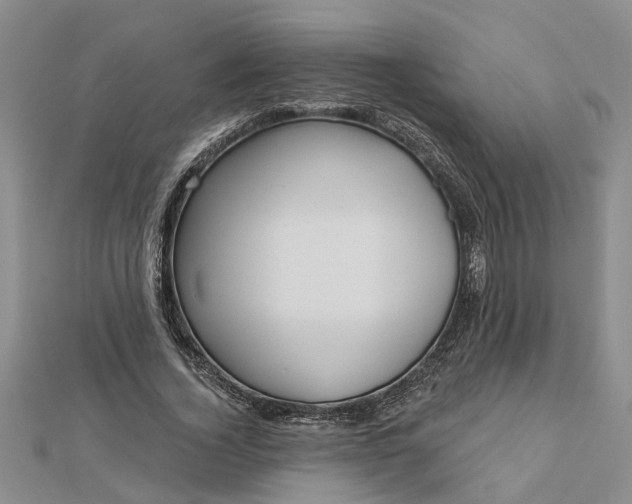 X0000112460732200908311329