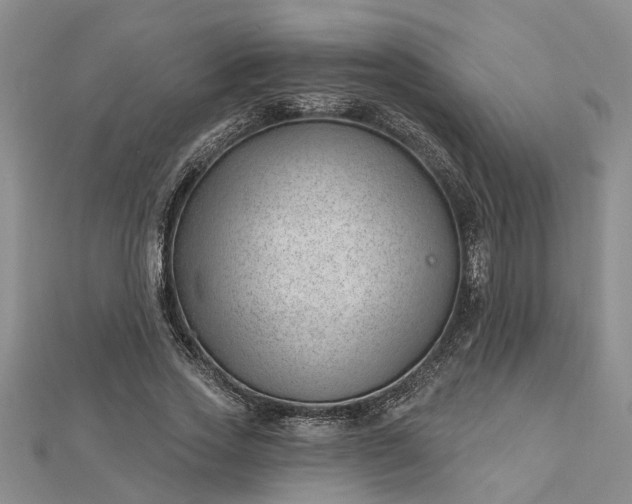 X0000112460733200908311329