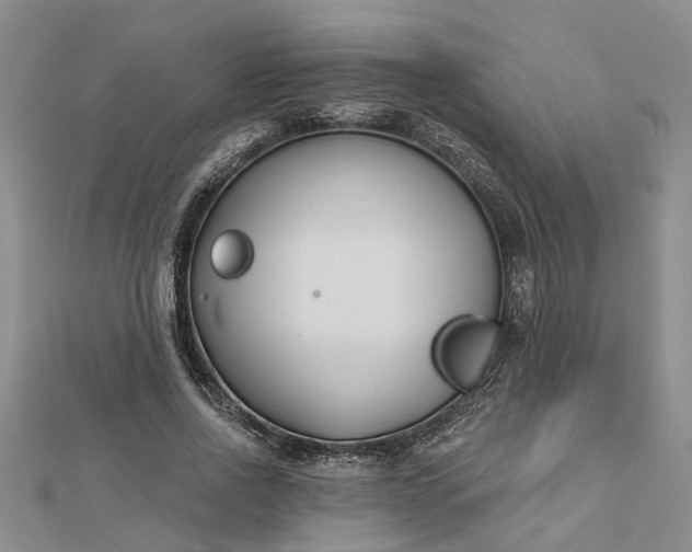 X0000112460734200908311329