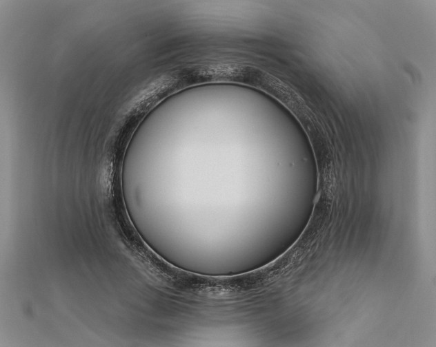 X0000112460735200908311329