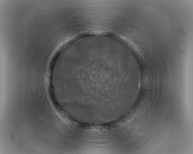 X0000112460736200908311329