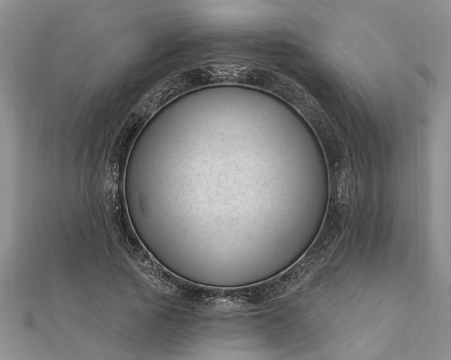 X0000112460737200908311329