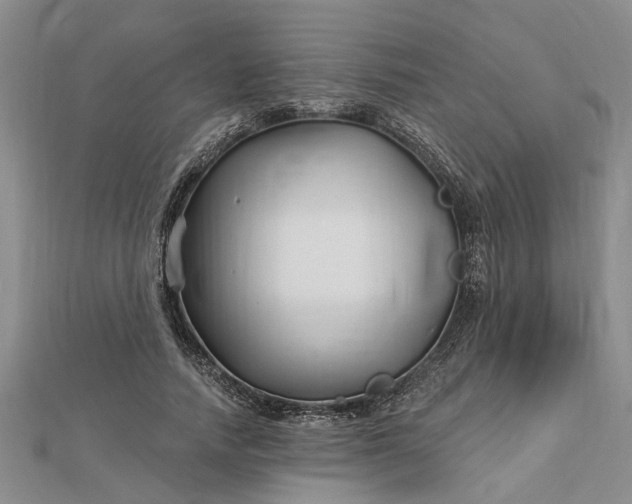 X0000112460738200908311329