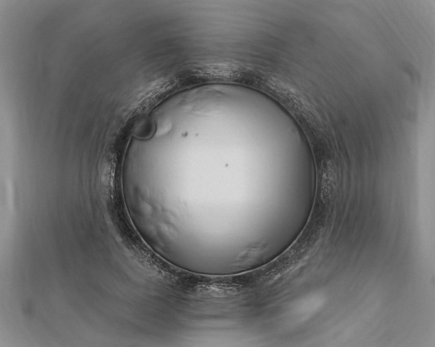 X0000112460739200908311329