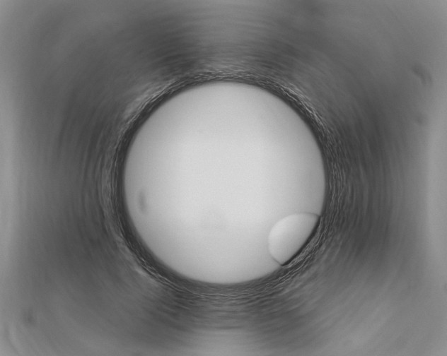 X0000112460740200908311329