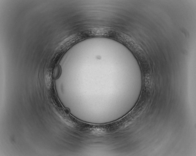 X0000112460741200908311329