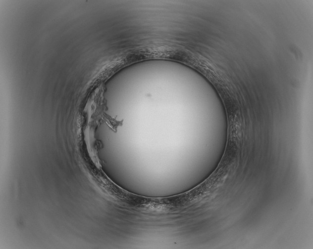 X0000112460742200908311329