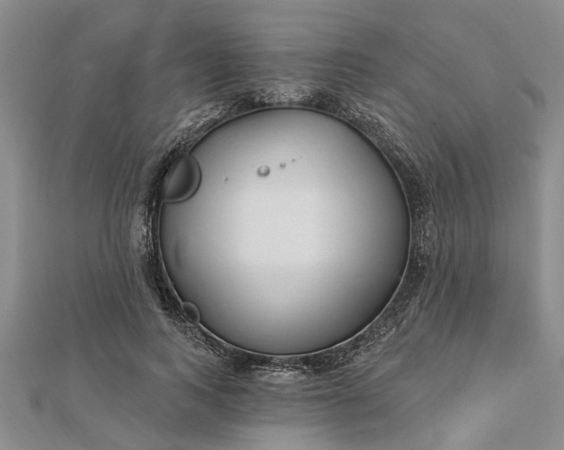 X0000112460743200908311329