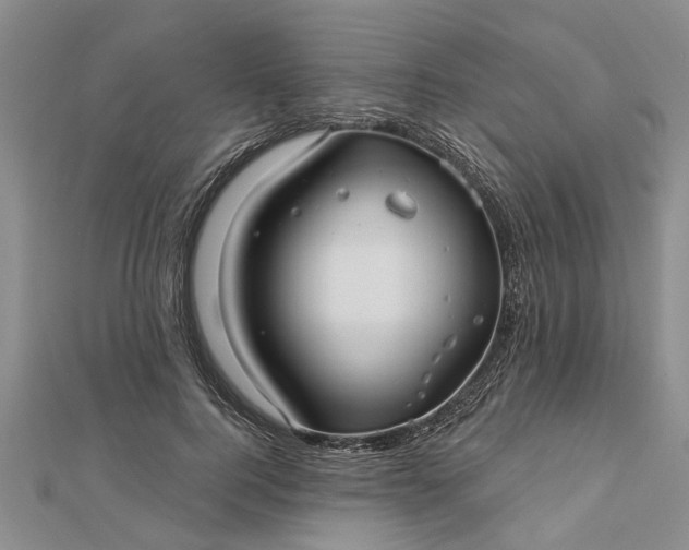 X0000112460744200908311329