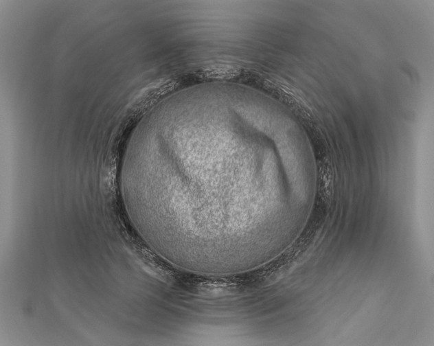 X0000112460745200908311329