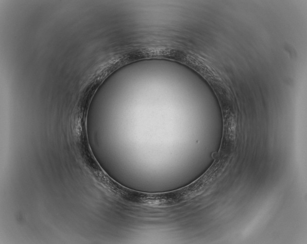 X0000112460746200908311329