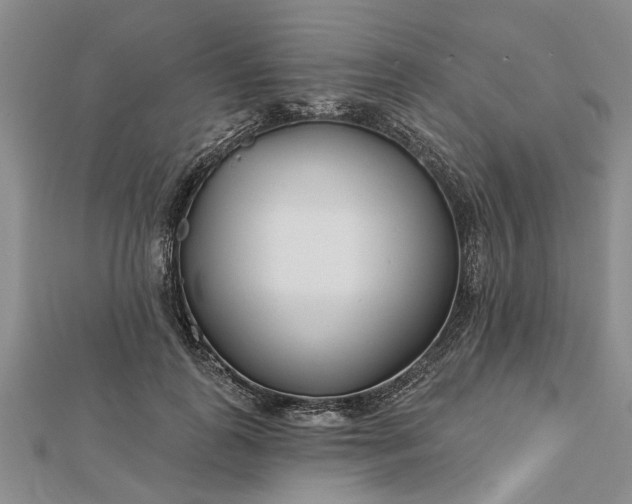 X0000112460747200908311329