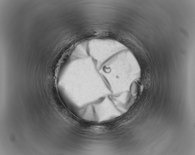 X0000112460748200908311329