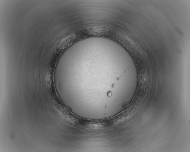 X0000112460749200908311329