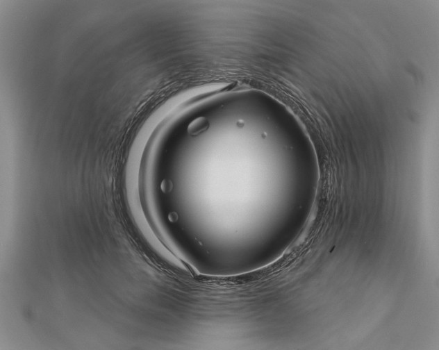 X0000112460750200908311329