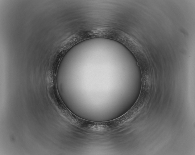 X0000112460751200908311329