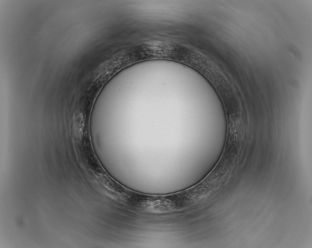 X0000112460752200908311329