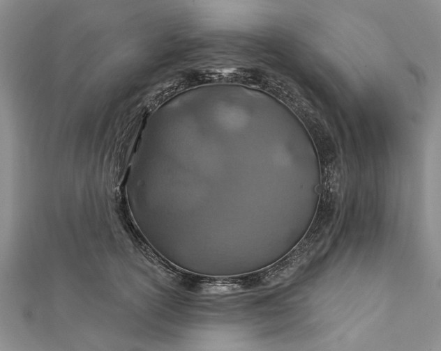 X0000112460754200908311329