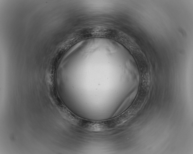 X0000112460755200908311329