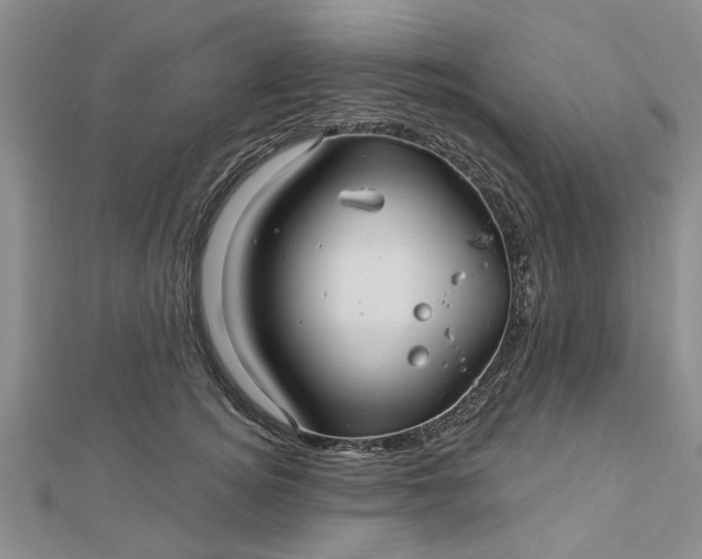 X0000112460756200908311329