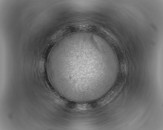 X0000112460757200908311329