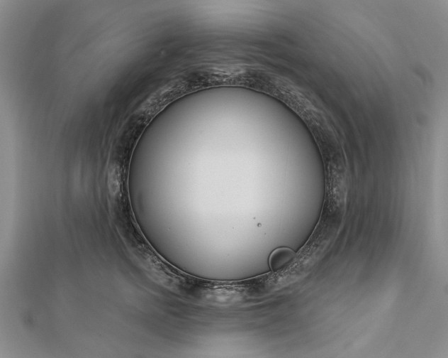 X0000112460758200908311329