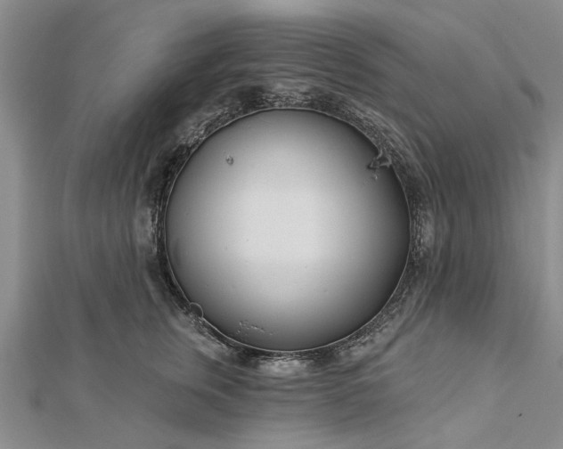 X0000112460759200908311329