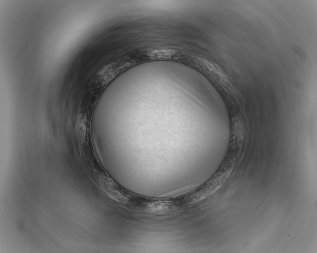 X0000112460761200908311329