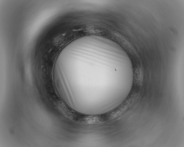 X0000112460762200908311329