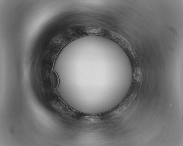 X0000112460763200908311329