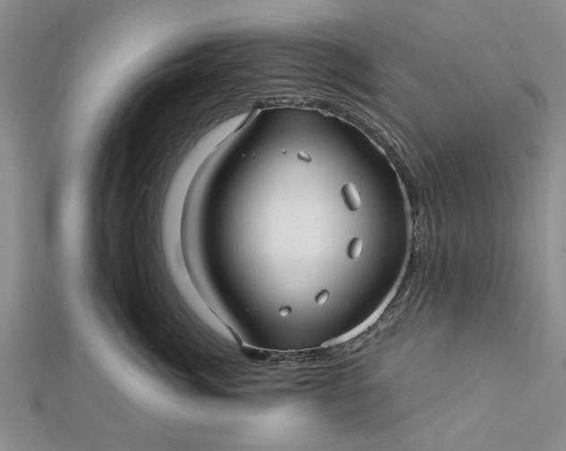 X0000112460764200908311329