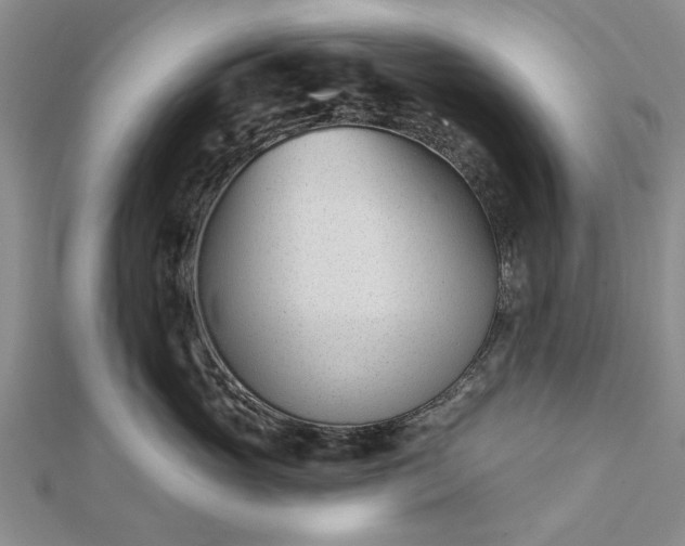 X0000112460765200908311329