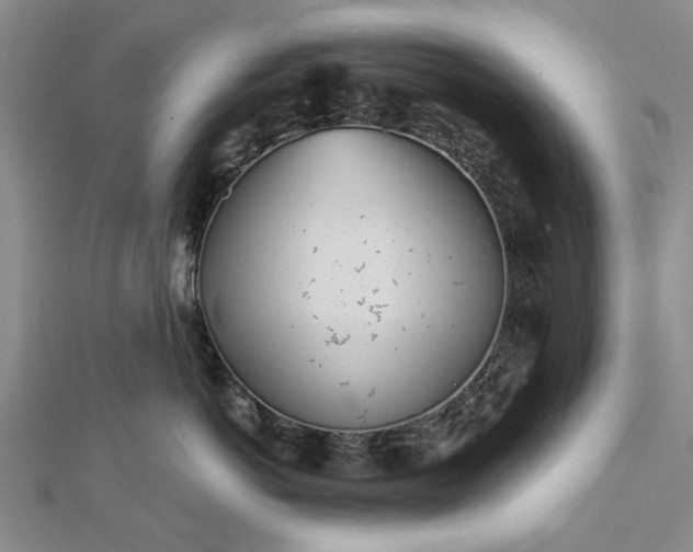 X0000112460766200908311329