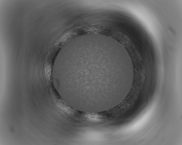 X0000112460767200908311329