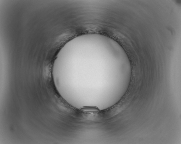 X0000112460768200908311329