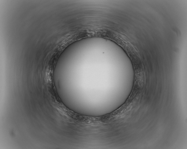 X0000112460770200908311328