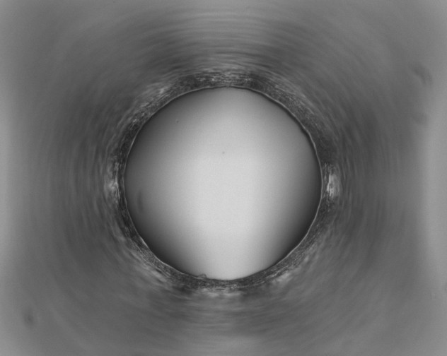 X0000112460771200908311328