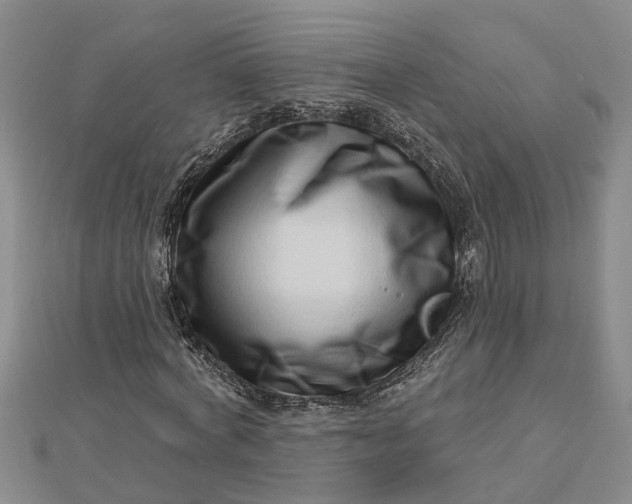 X0000112460772200908311328