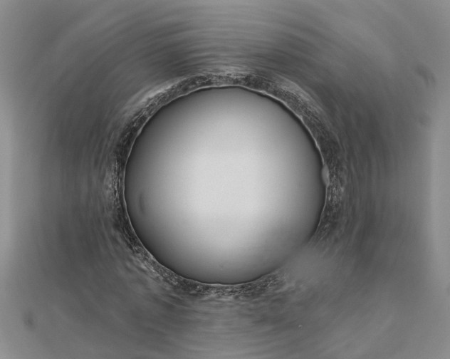 X0000112460773200908311328