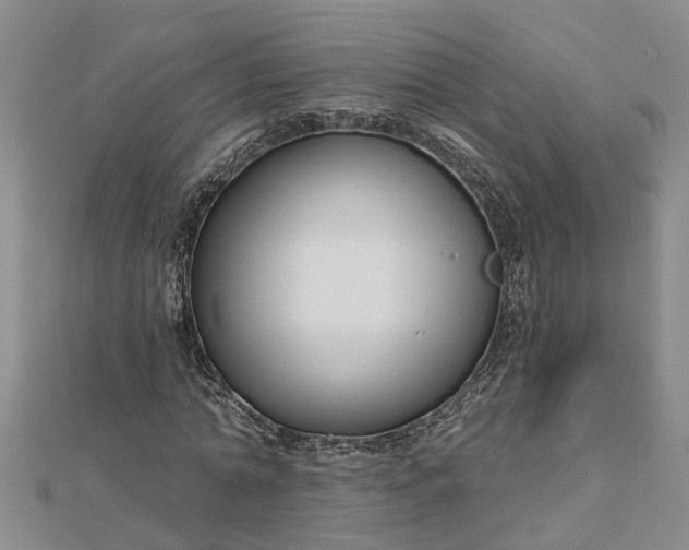 X0000112460774200908311328