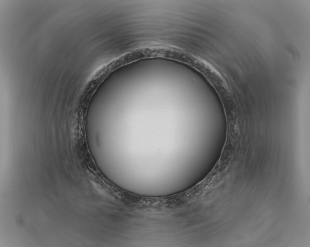 X0000112460775200908311328