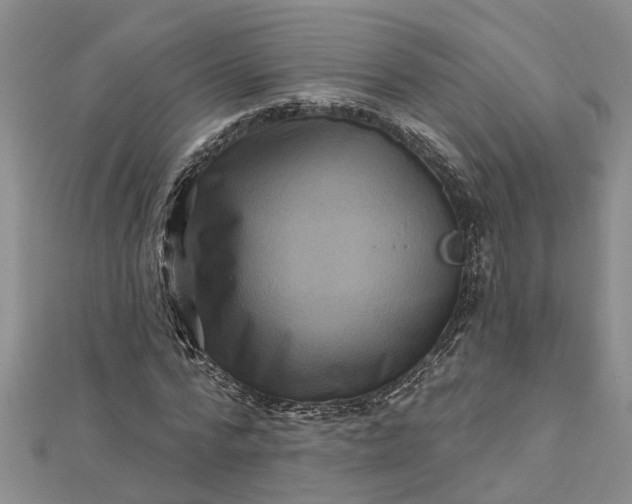 X0000112460776200908311328