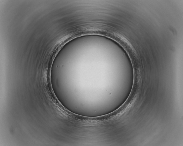 X0000112460777200908311328