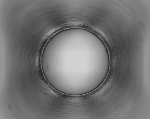 X0000112460778200908311328