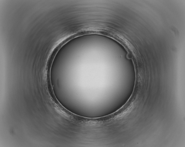 X0000112460779200908311328