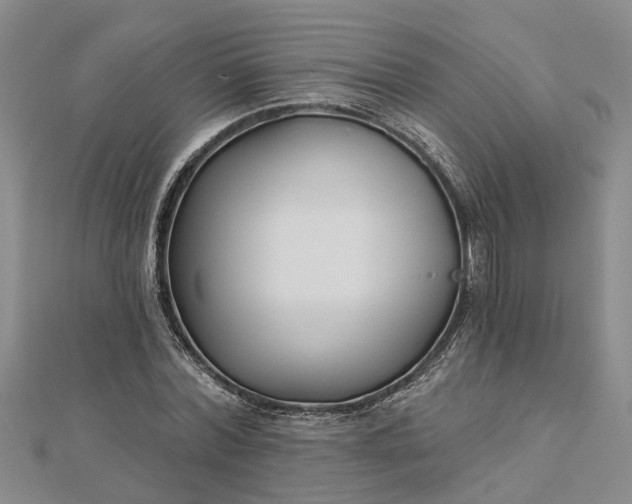 X0000112460780200908311328